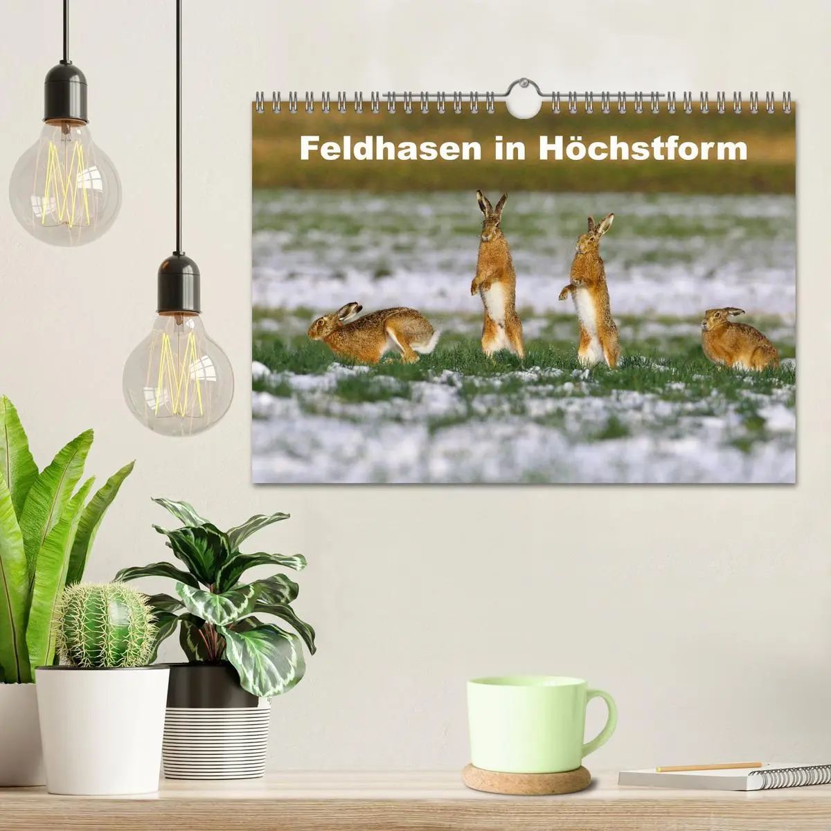 Bild: 9783457568033 | Feldhasen in Höchstform (Wandkalender 2026 DIN A4 quer), CALVENDO...