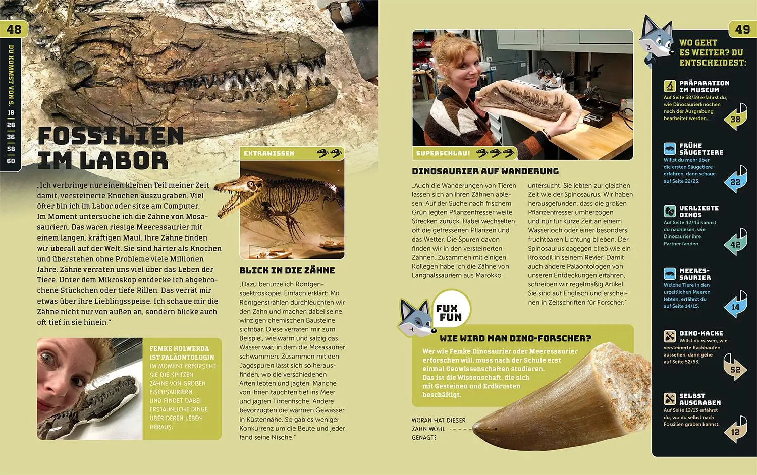 Bild: 9783440178133 | Kosmos SchlauFUX - Dinosaurier | Birk Grüling | Buch | 64 S. | Deutsch
