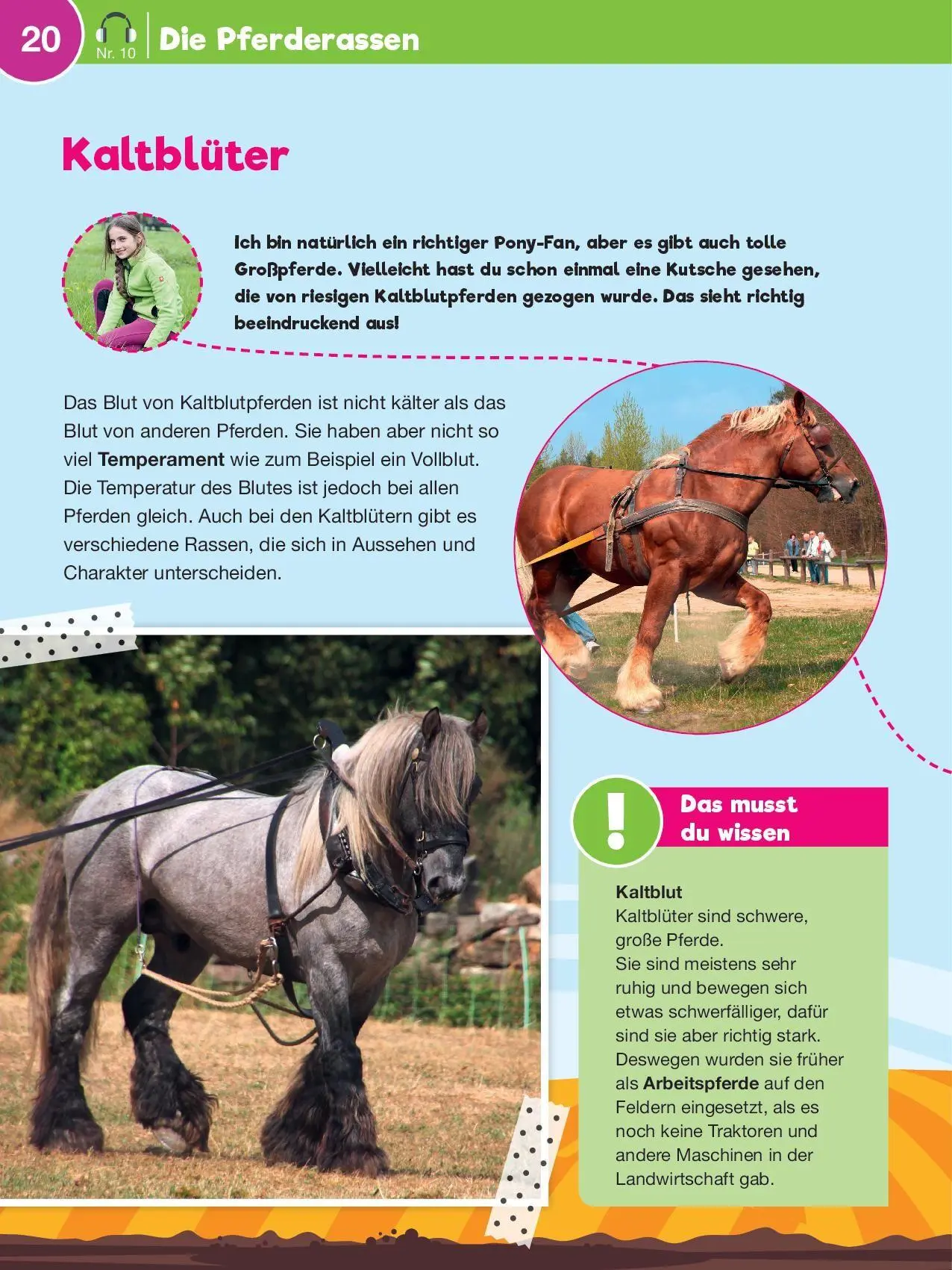 Bild: 9783867408233 | Leselauscher Wissen: Pferde und Ponys (inkl. CD &amp; Stickerbogen) | Buch