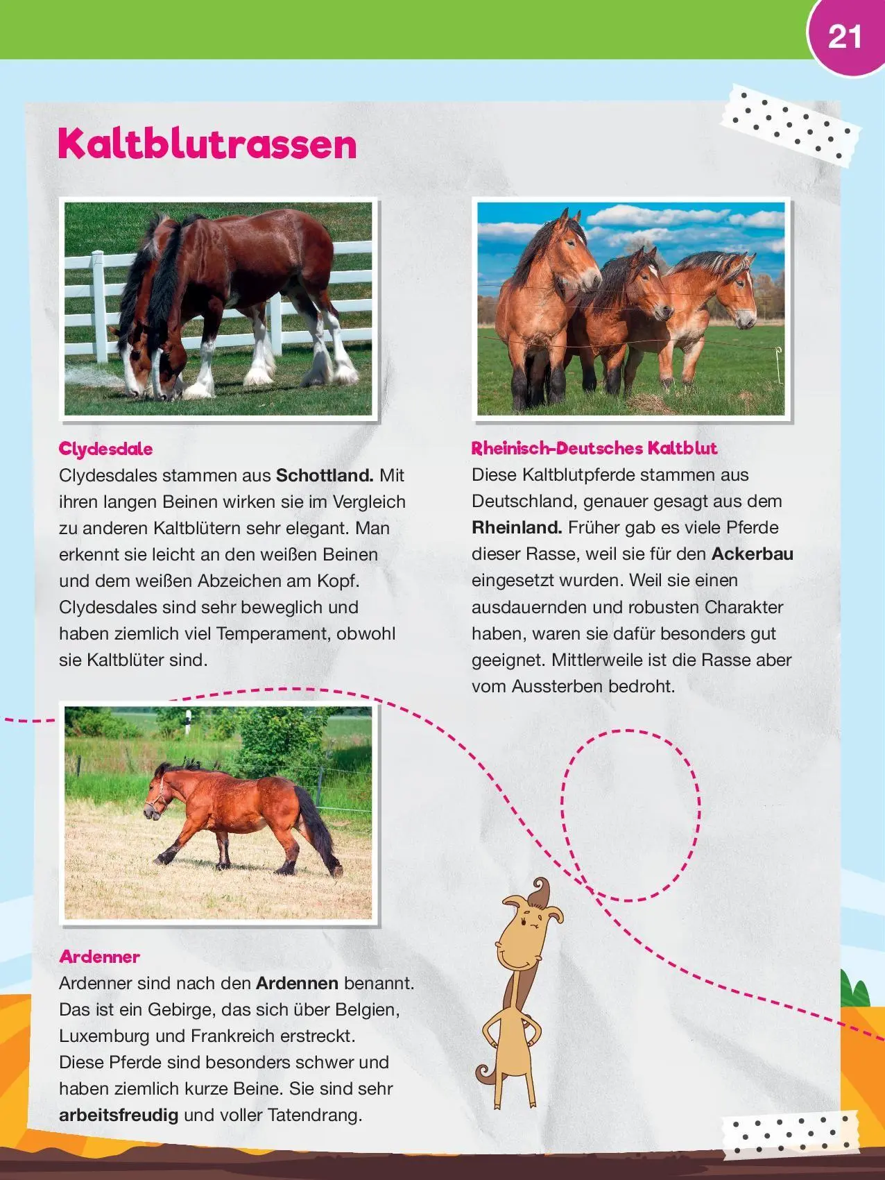Bild: 9783867408233 | Leselauscher Wissen: Pferde und Ponys (inkl. CD &amp; Stickerbogen) | Buch