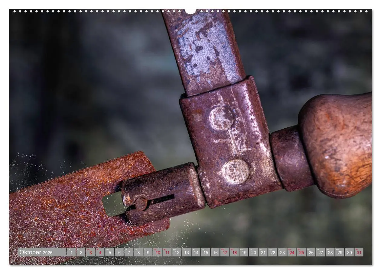 Bild: 9783457778333 | Lebensfreude Werkzeuge (Wandkalender 2026 DIN A2 quer), CALVENDO...