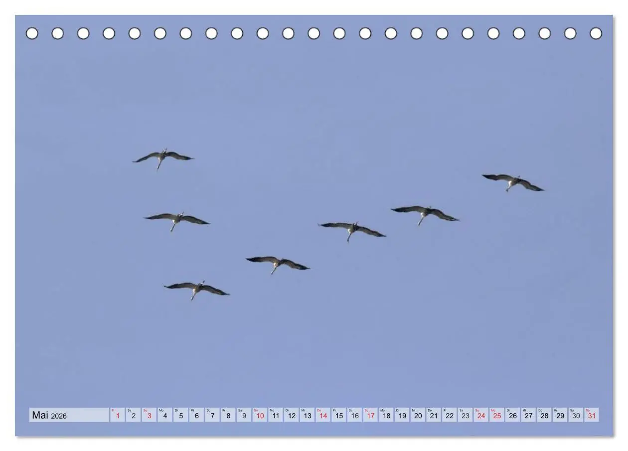 Bild: 9783516008333 | Kraniche auf dem Weg nach Süden (Tischkalender 2026 DIN A5 quer),...