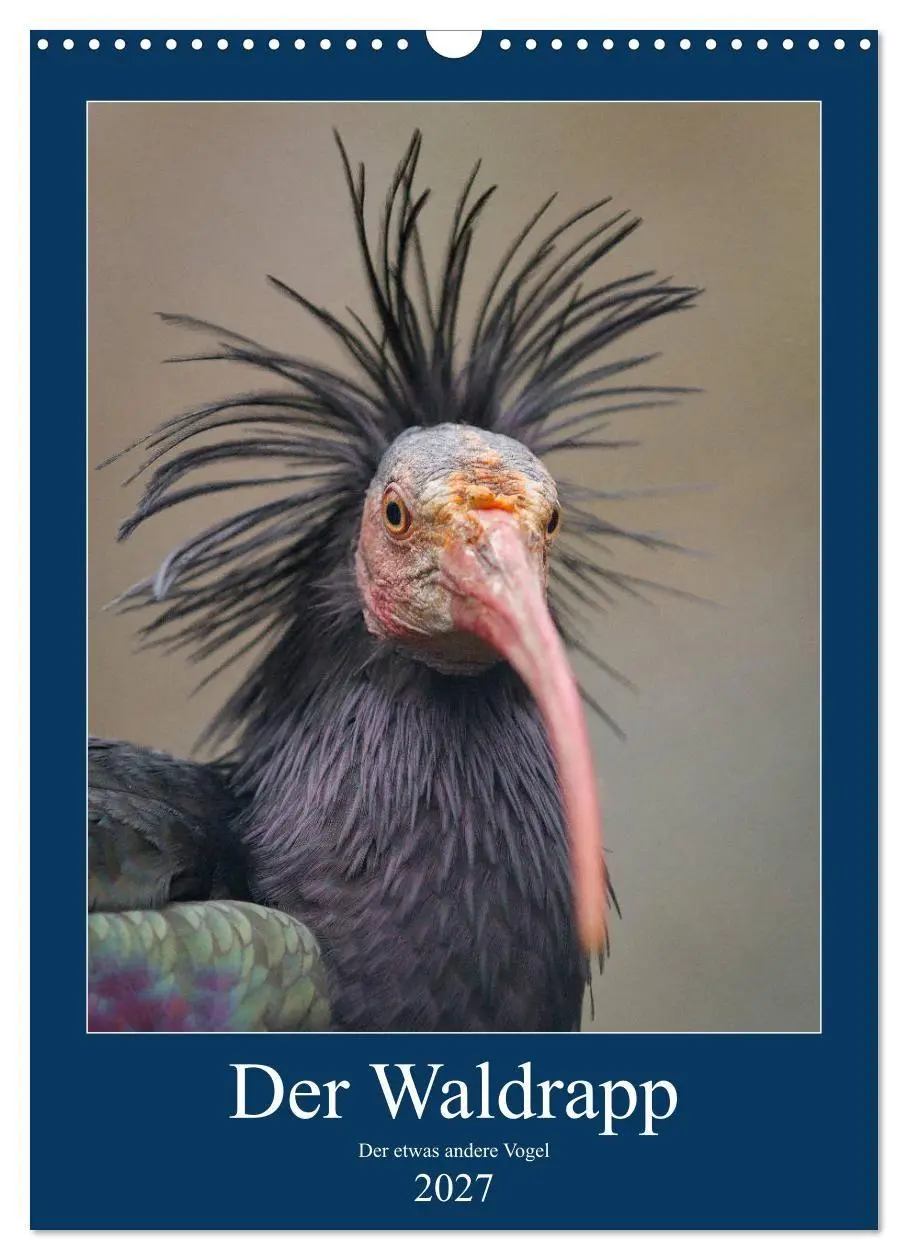 Cover: 9783569578333 | Der Waldrapp - Der etwas andere Vogel (Wandkalender 2027 DIN A3...