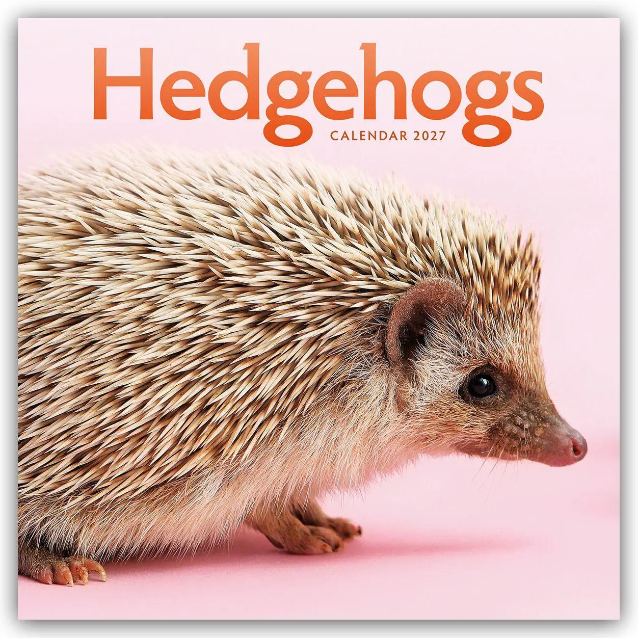 Cover: 9781529858433 | Hedgehogs - Igel 2027 - Wand-Kalender | Carousel Calendar | Kalender