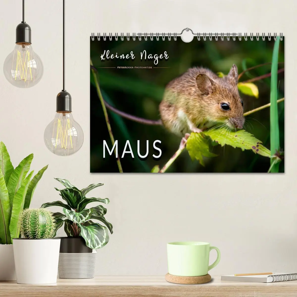 Bild: 9783457838433 | Kleiner Nager - Maus (Wandkalender 2026 DIN A4 quer), CALVENDO...