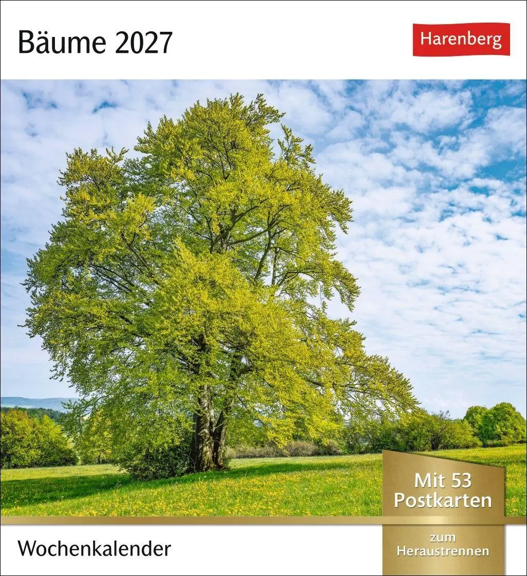 Cover: 9783840038433 | Bäume Postkartenkalender 2027 - Wochenkalender mit 53 Postkarten