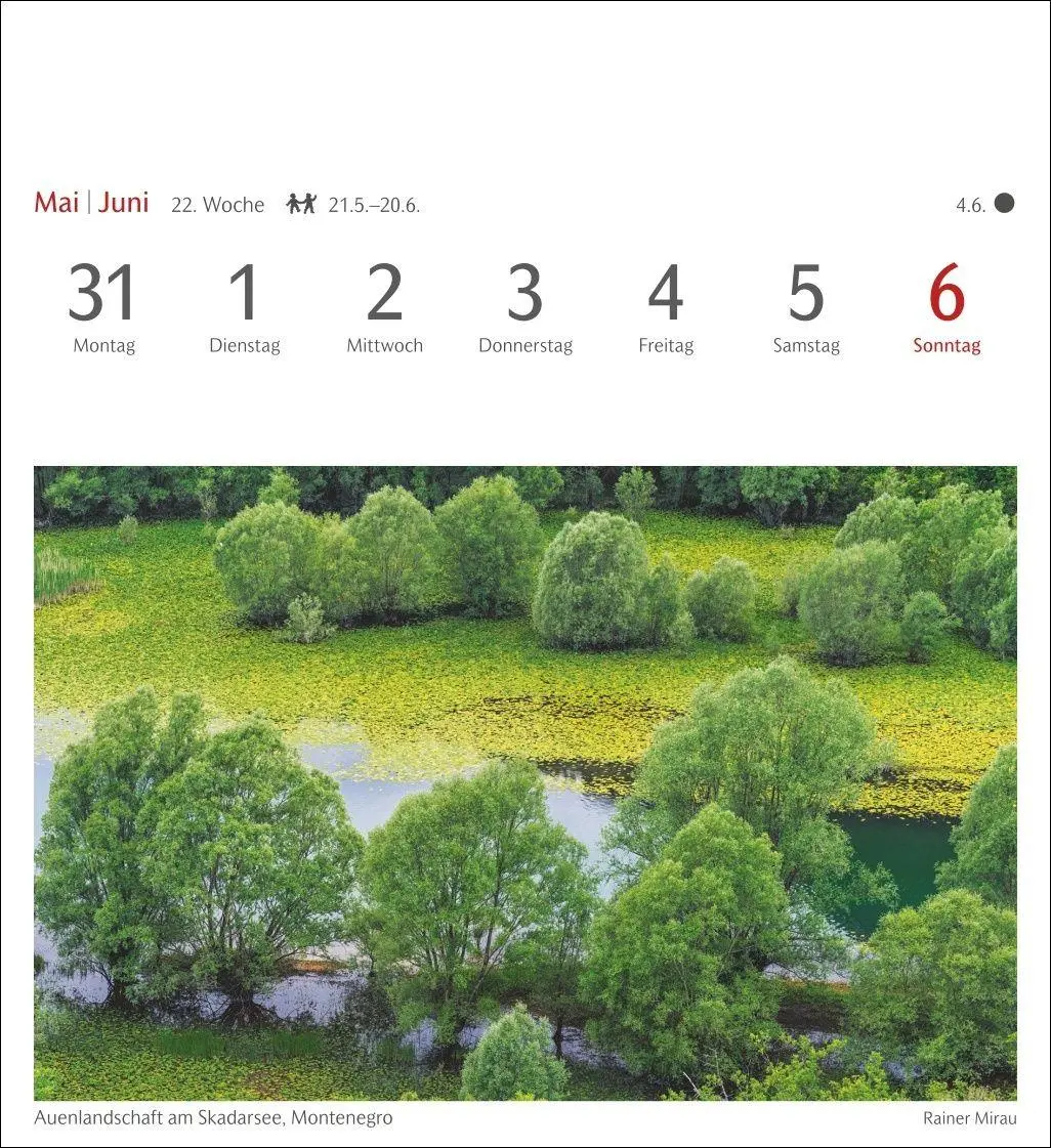 Bild: 9783840038433 | Bäume Postkartenkalender 2027 - Wochenkalender mit 53 Postkarten