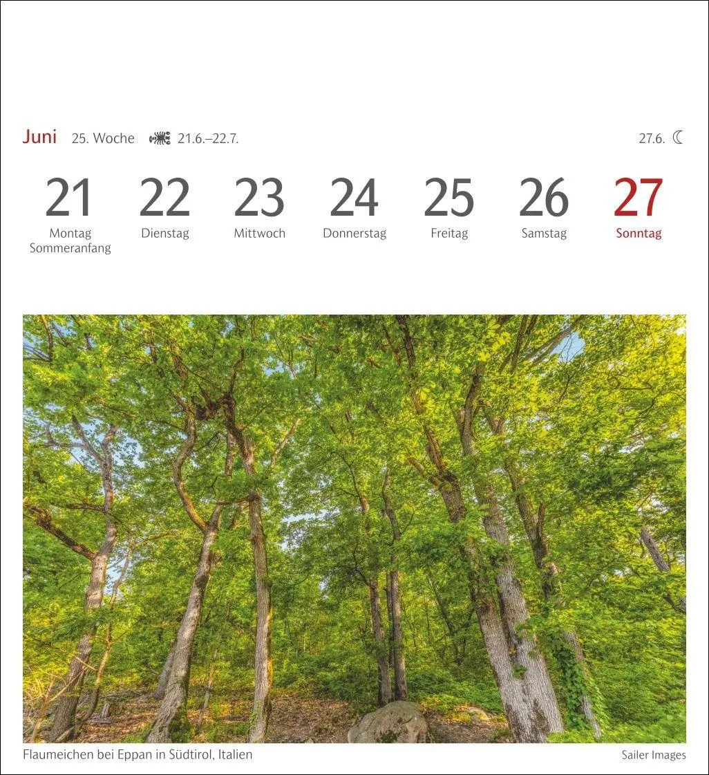 Bild: 9783840038433 | Bäume Postkartenkalender 2027 - Wochenkalender mit 53 Postkarten