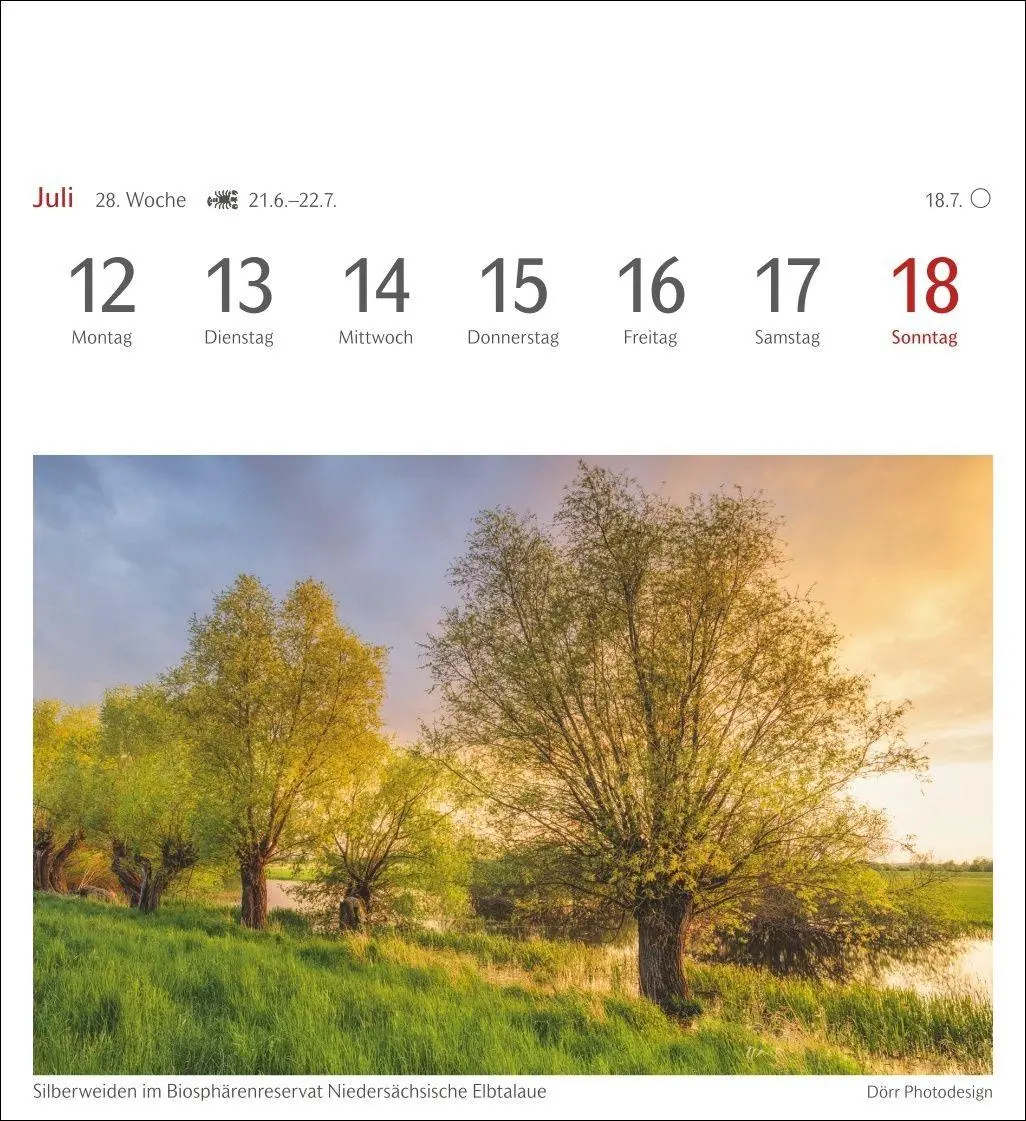 Bild: 9783840038433 | Bäume Postkartenkalender 2027 - Wochenkalender mit 53 Postkarten