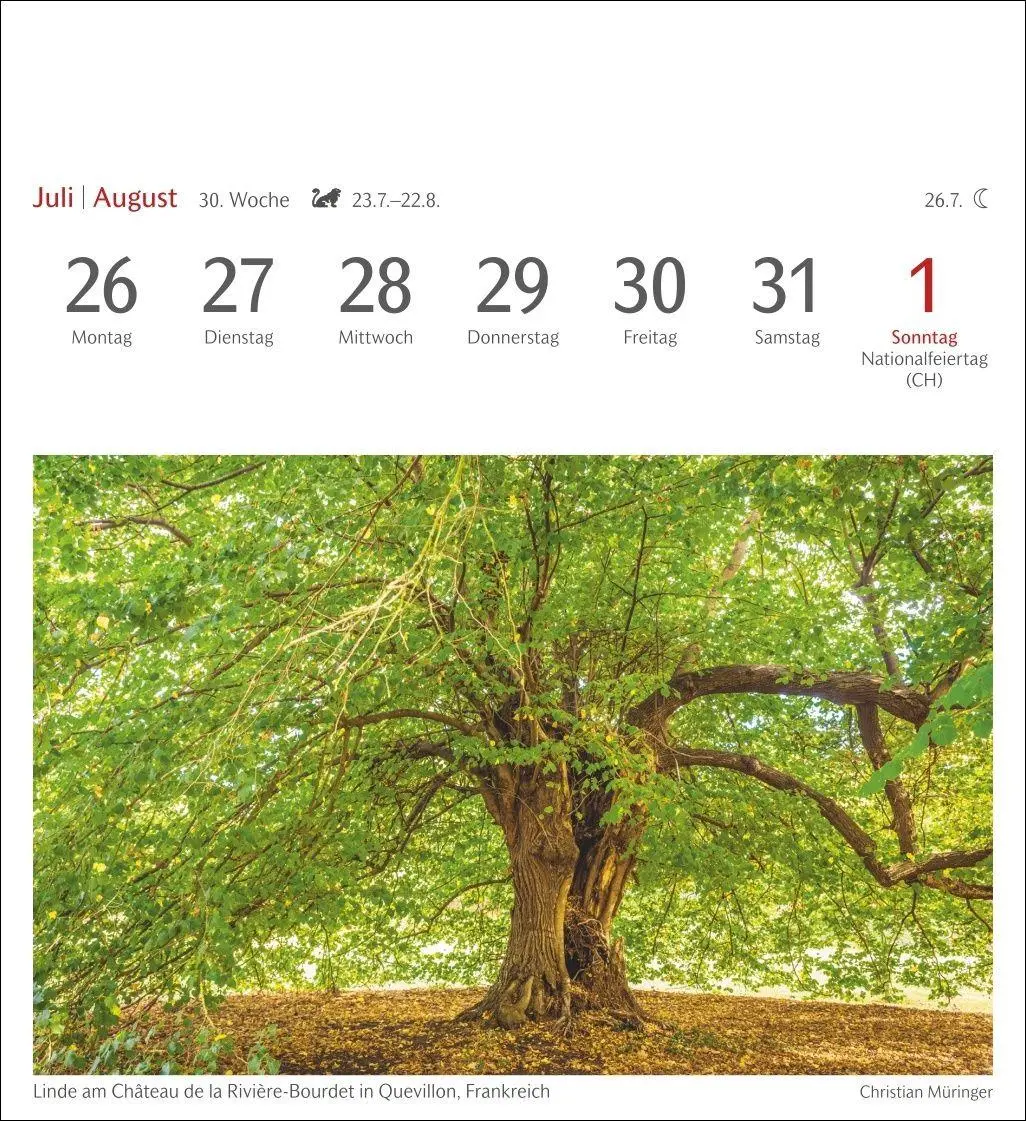 Bild: 9783840038433 | Bäume Postkartenkalender 2027 - Wochenkalender mit 53 Postkarten