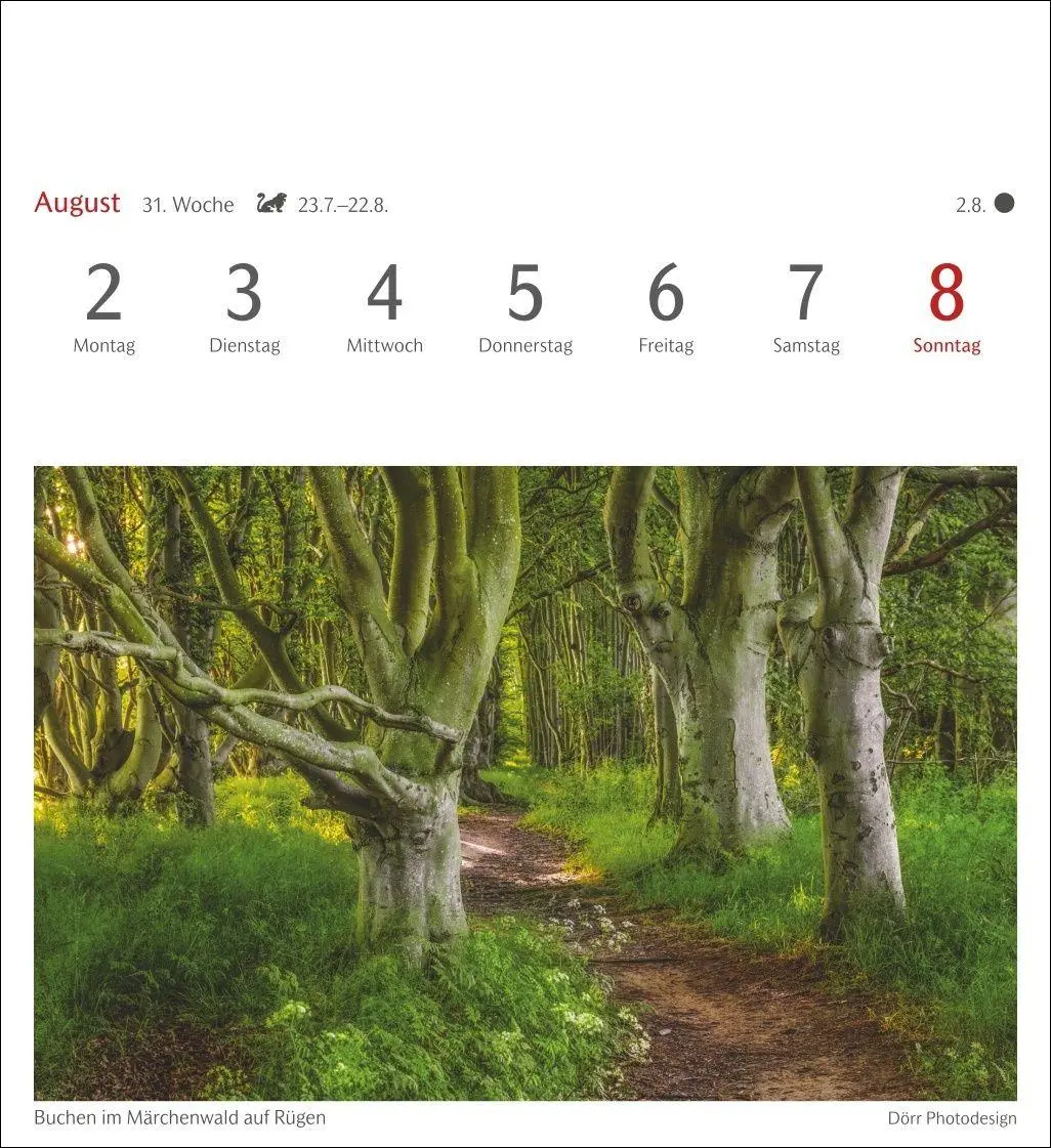Bild: 9783840038433 | Bäume Postkartenkalender 2027 - Wochenkalender mit 53 Postkarten