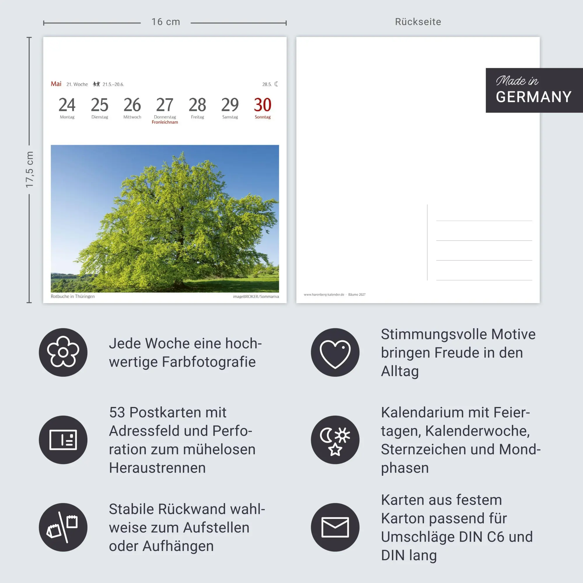 Bild: 9783840038433 | Bäume Postkartenkalender 2027 - Wochenkalender mit 53 Postkarten