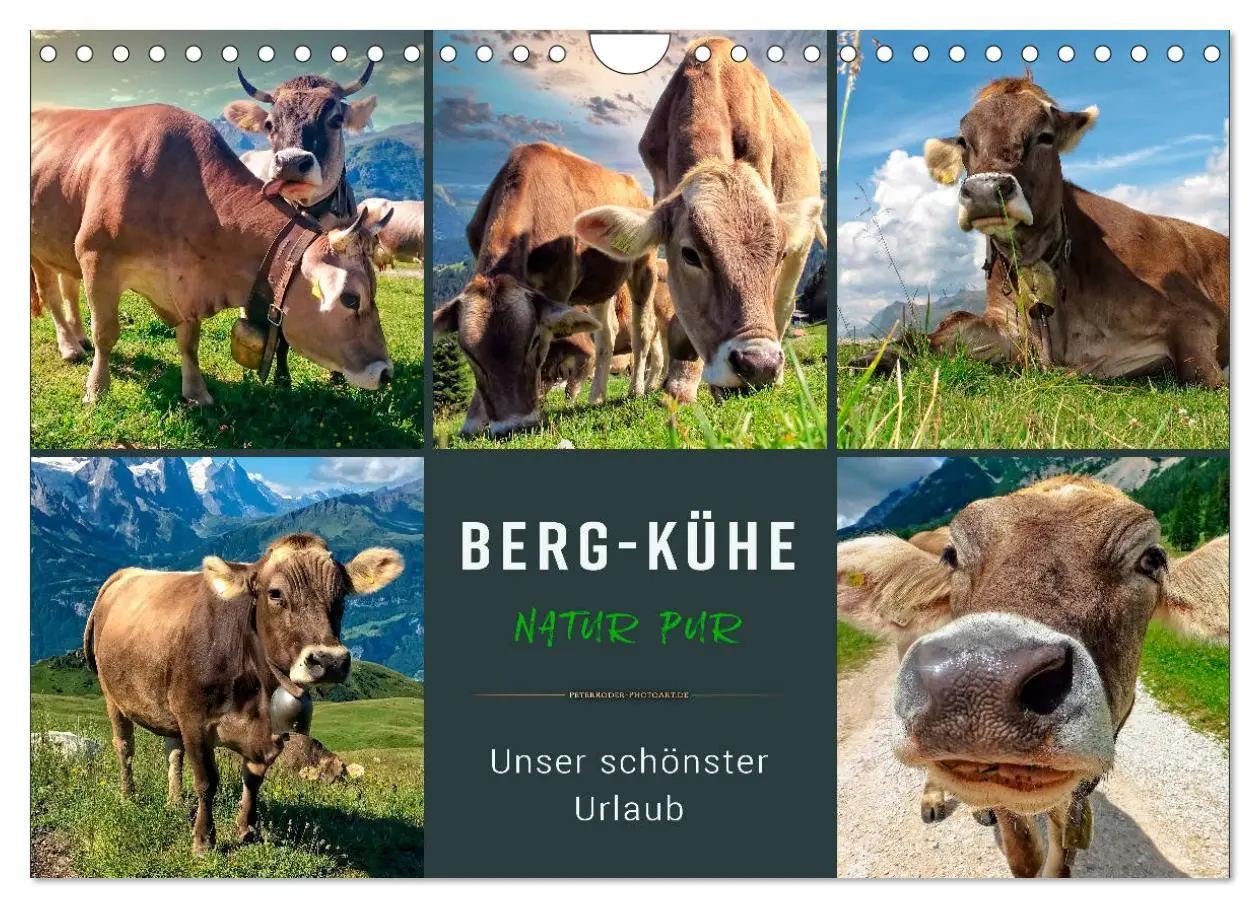 Cover: 9783457688533 | Berg-Kühe, Natur pur - unser schönster Urlaub (Wandkalender 2026...