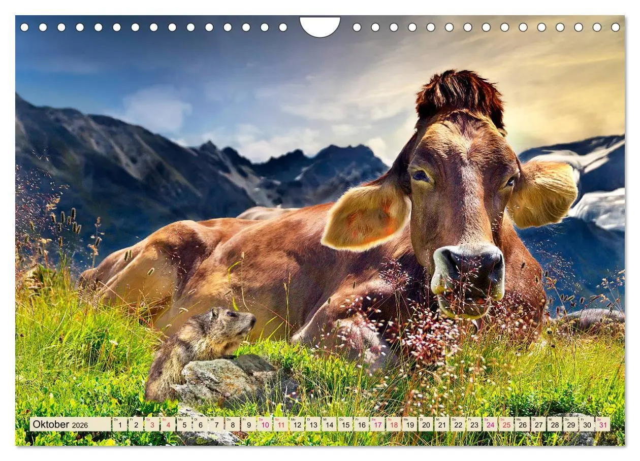 Bild: 9783457688533 | Berg-Kühe, Natur pur - unser schönster Urlaub (Wandkalender 2026...