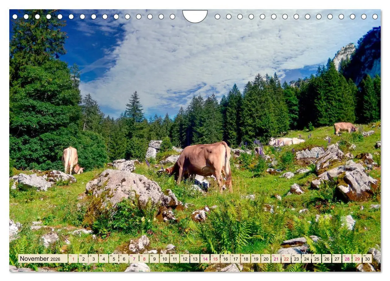 Bild: 9783457688533 | Berg-Kühe, Natur pur - unser schönster Urlaub (Wandkalender 2026...