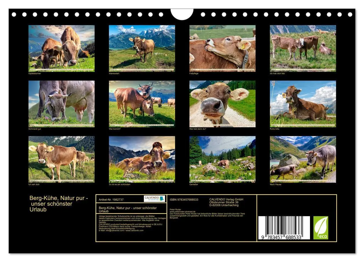 Bild: 9783457688533 | Berg-Kühe, Natur pur - unser schönster Urlaub (Wandkalender 2026...