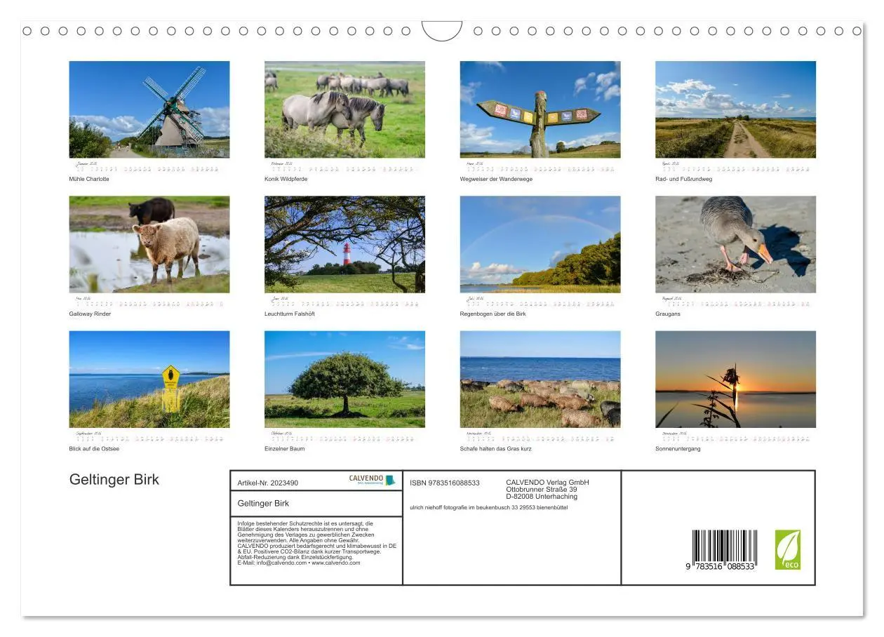 Bild: 9783516088533 | Geltinger Birk (Wandkalender 2026 DIN A3 quer), CALVENDO...