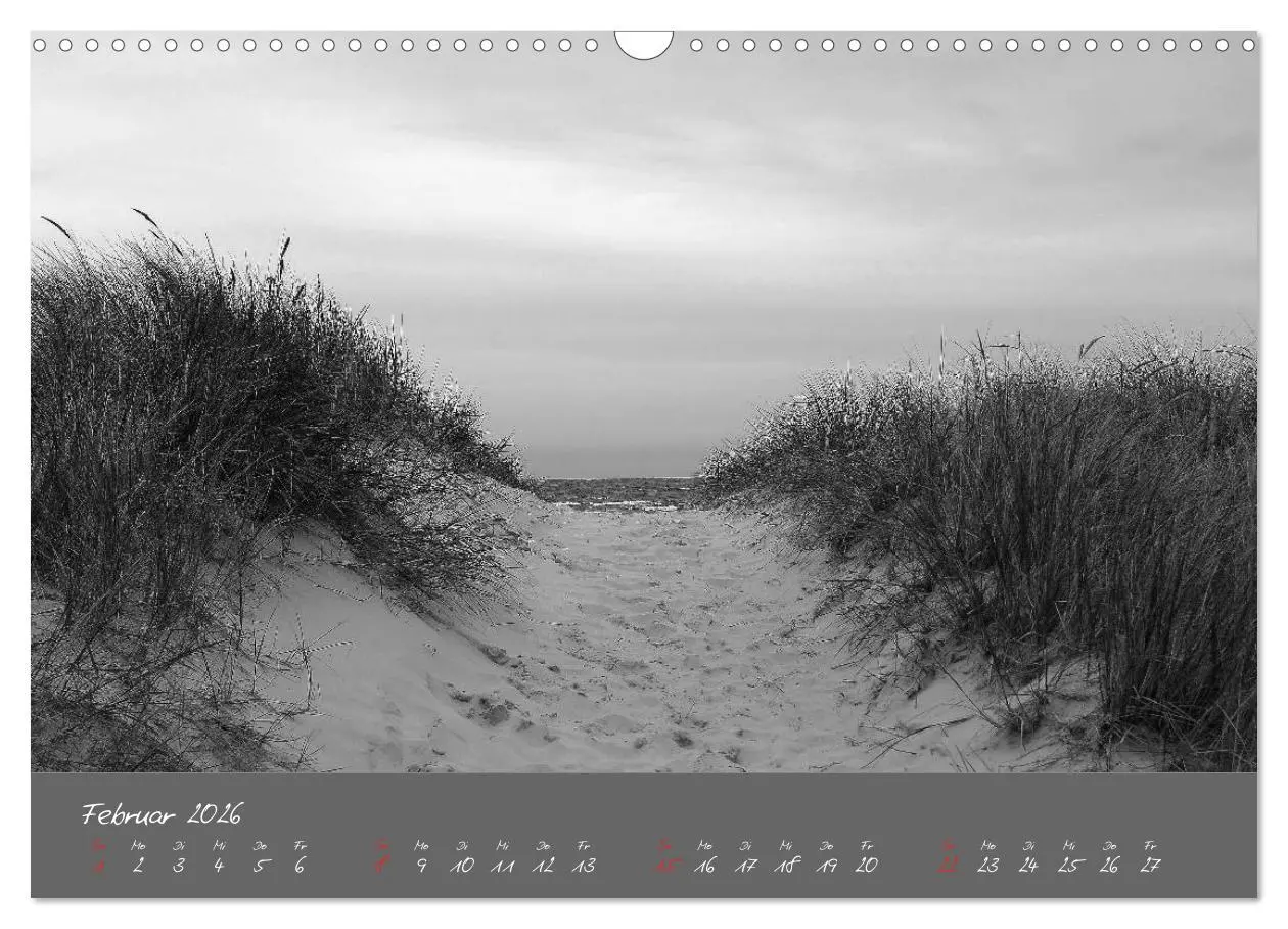 Bild: 9783516228533 | Wege zum Meer (Wandkalender 2026 DIN A3 quer), CALVENDO Monatskalender
