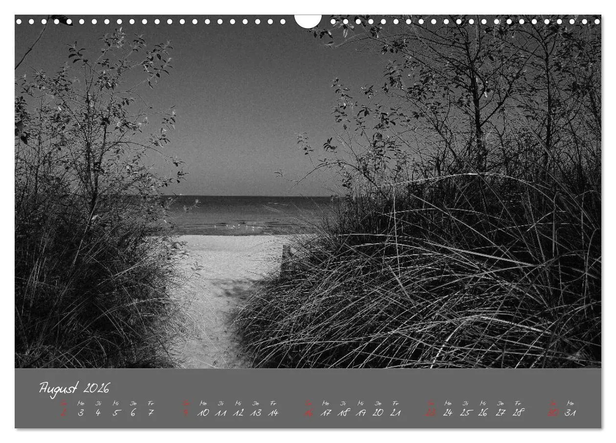 Bild: 9783516228533 | Wege zum Meer (Wandkalender 2026 DIN A3 quer), CALVENDO Monatskalender