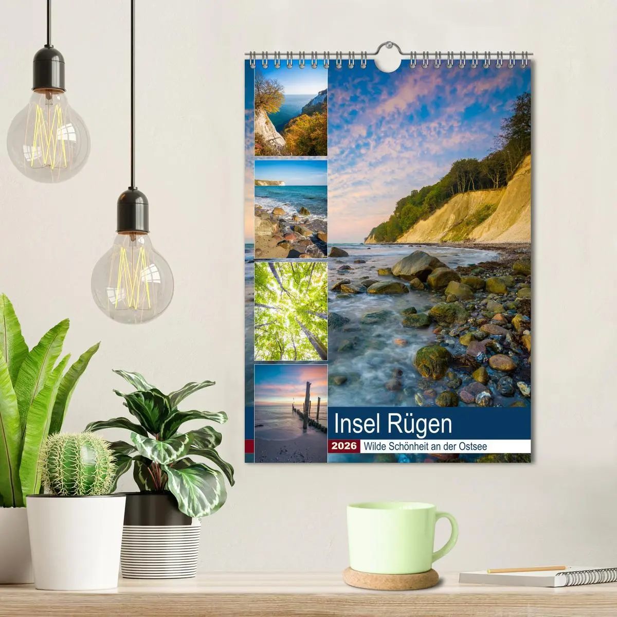 Bild: 9783516398533 | Insel Rügen - Wilde Schönheit an der Ostsee (Wandkalender 2026 DIN...