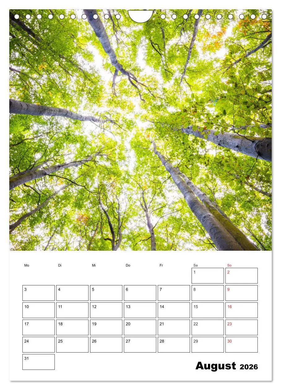 Bild: 9783516398533 | Insel Rügen - Wilde Schönheit an der Ostsee (Wandkalender 2026 DIN...