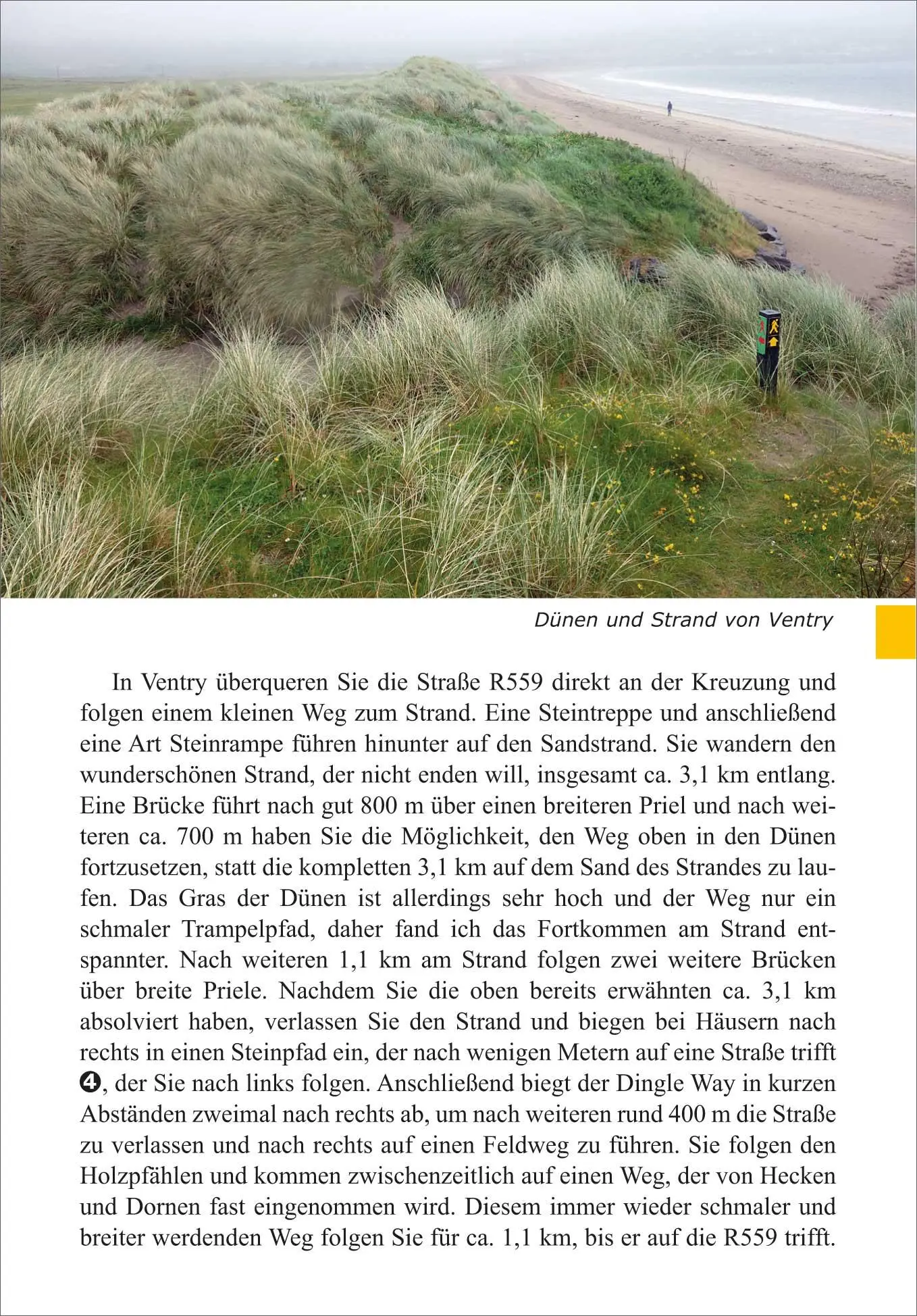 Bild: 9783866868533 | Irland: Dingle Way | Diana Steinhagen | Taschenbuch | 128 S. | Deutsch