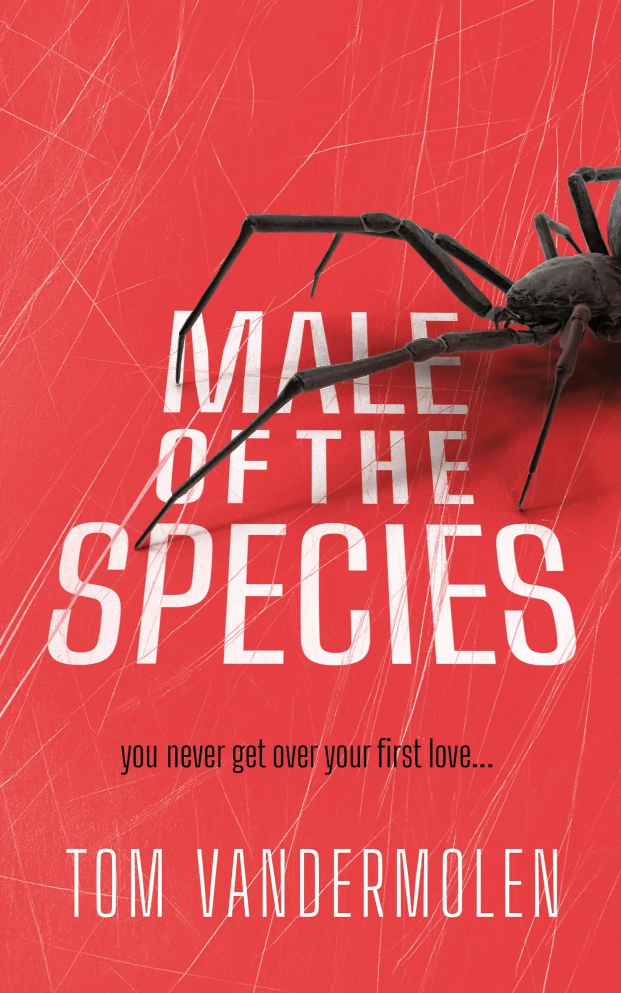 Cover: 9781962538633 | Male of the Species | Tom Vandermolen | Taschenbuch | Englisch | 2025