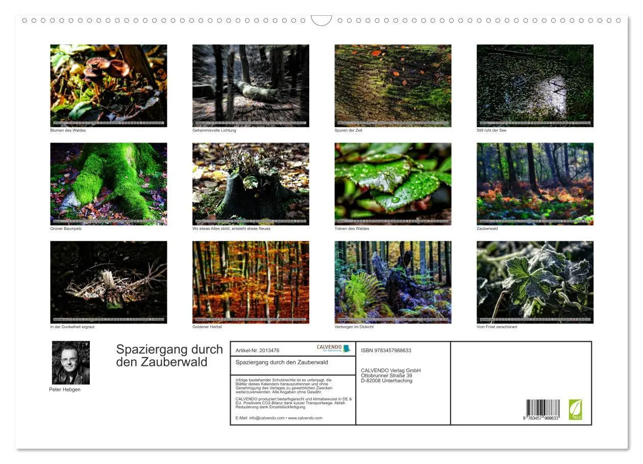 Bild: 9783457988633 | Spaziergang durch den Zauberwald (Wandkalender 2026 DIN A2 quer),...