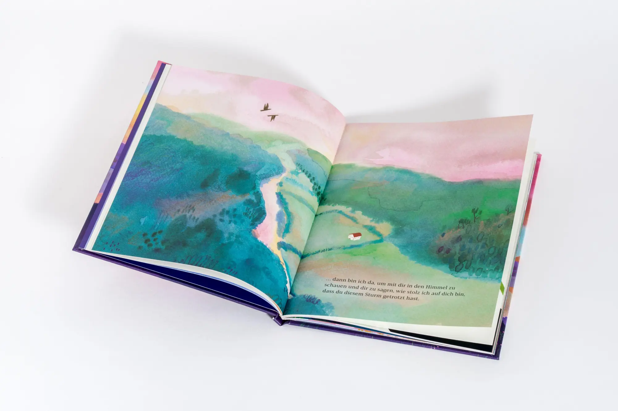 Bild: 9783466348633 | Ich bin für dich da - was auch passiert | Amelia Riedler | Buch | 2026