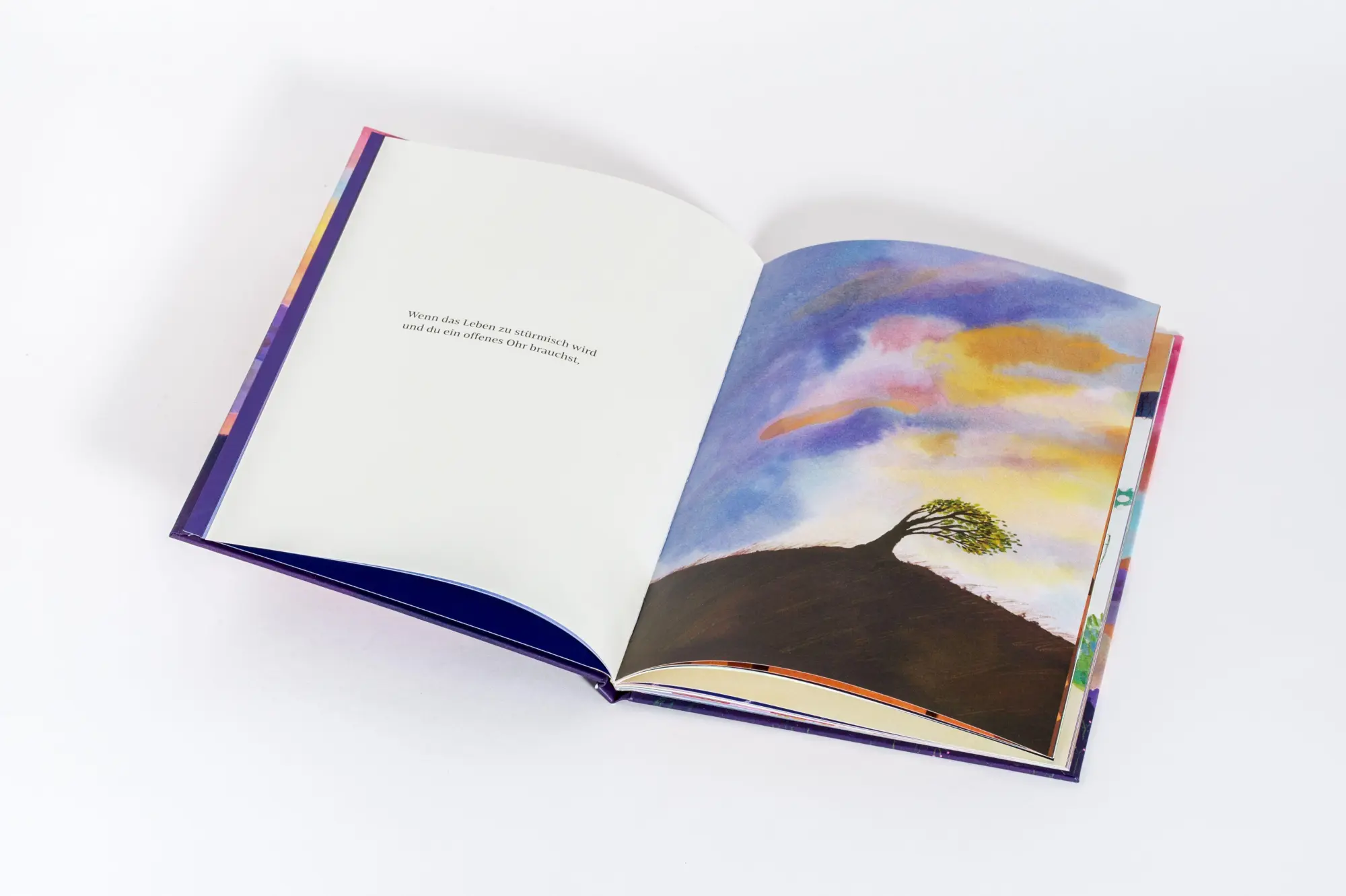 Bild: 9783466348633 | Ich bin für dich da - was auch passiert | Amelia Riedler | Buch | 2026