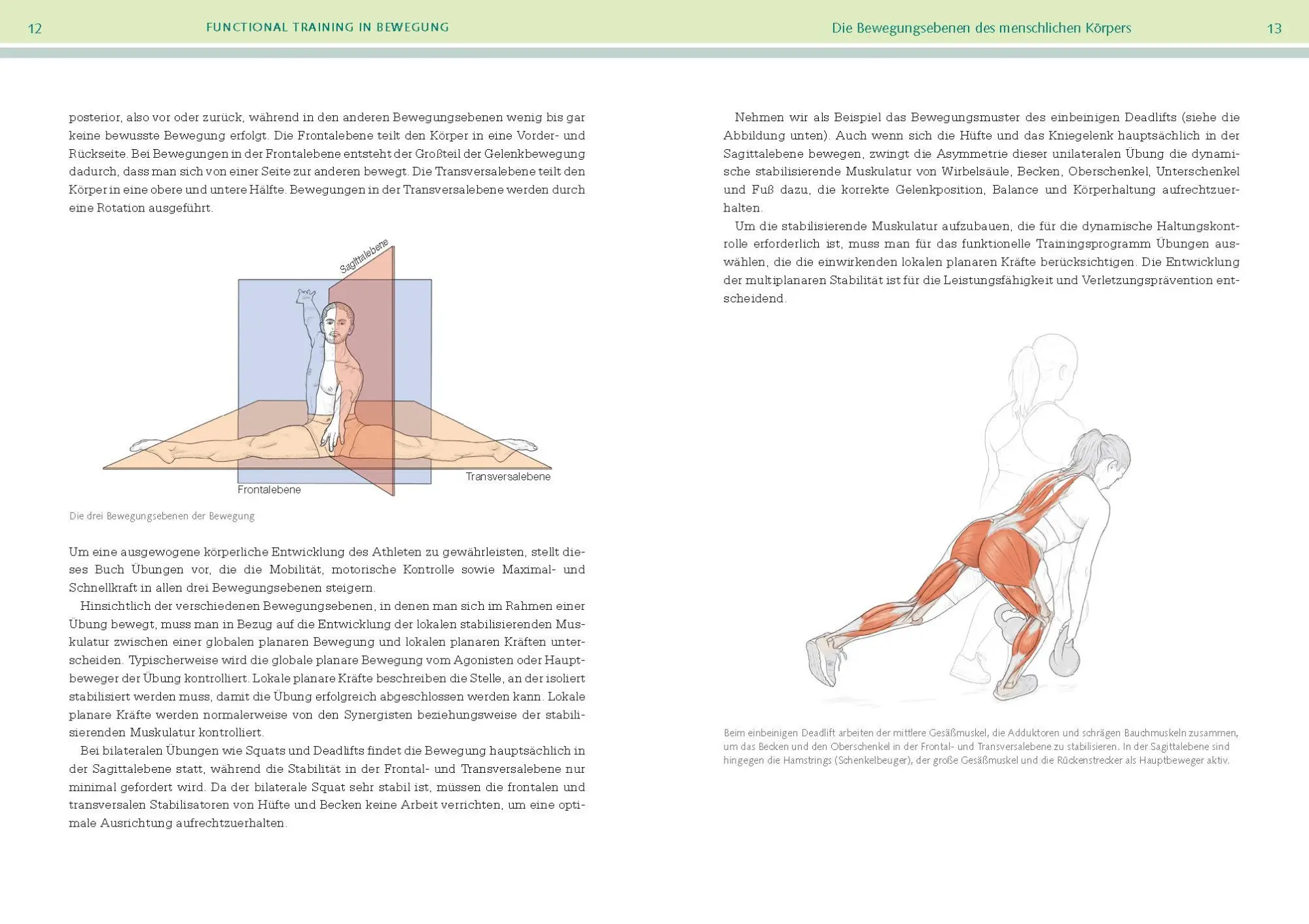 Bild: 9783742318633 | Functional-Training-Anatomie | Kevin Carr (u. a.) | Taschenbuch | 2021