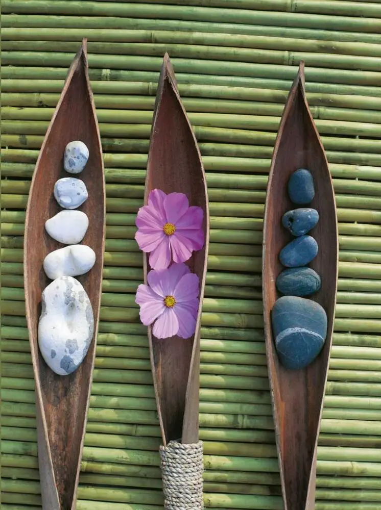 Cover: 9783865478733 | Zen Nature | Blankbook | Tushita-Verlag | Buch | 140 S. | Deutsch