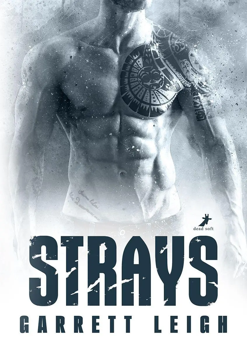 Cover: 9783960898733 | Strays | Urban Soul 2 | Garrett Leigh | Taschenbuch | 308 S. | Deutsch