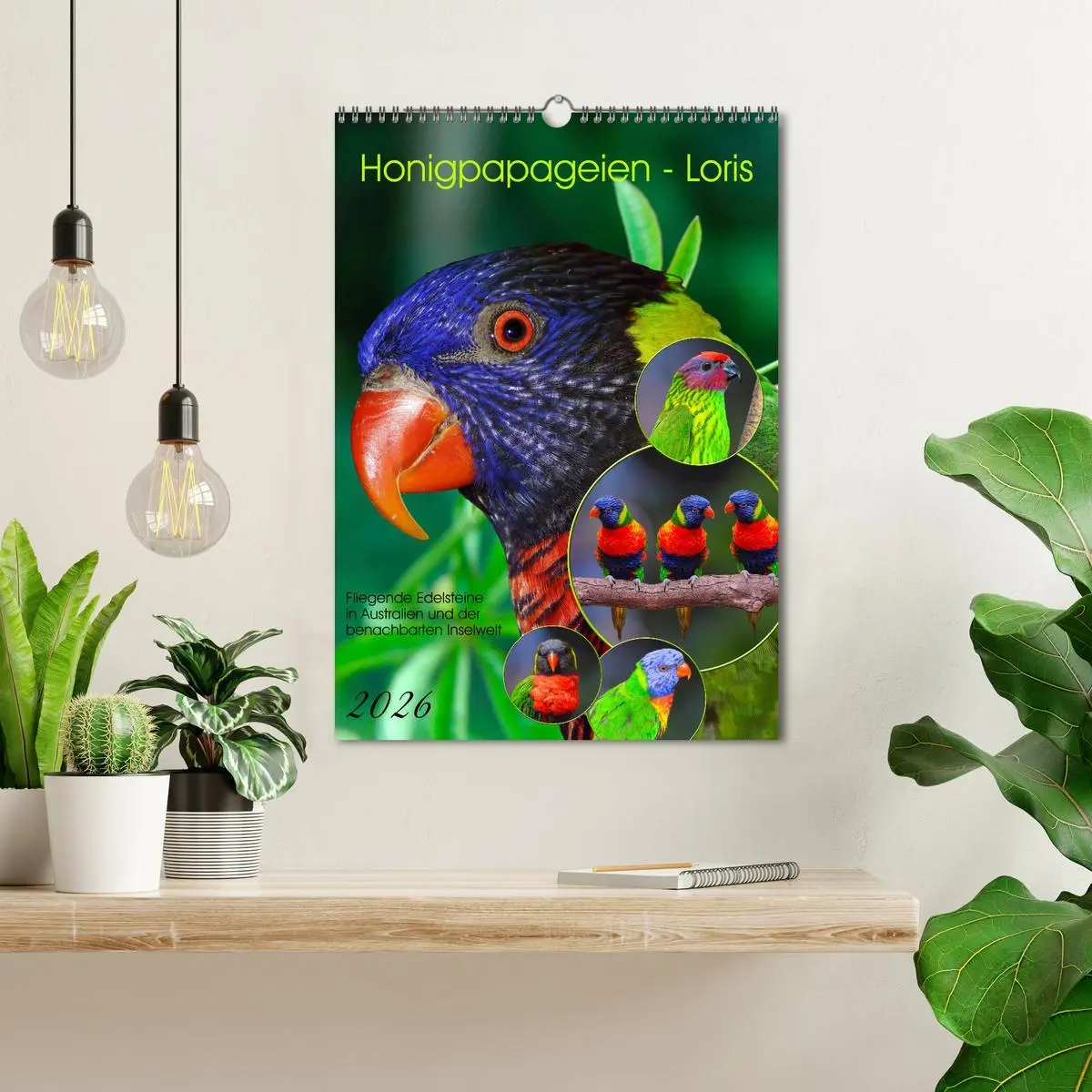 Bild: 9783516298833 | Honigpapageien - Loris (Wandkalender 2026 DIN A3 hoch), CALVENDO...