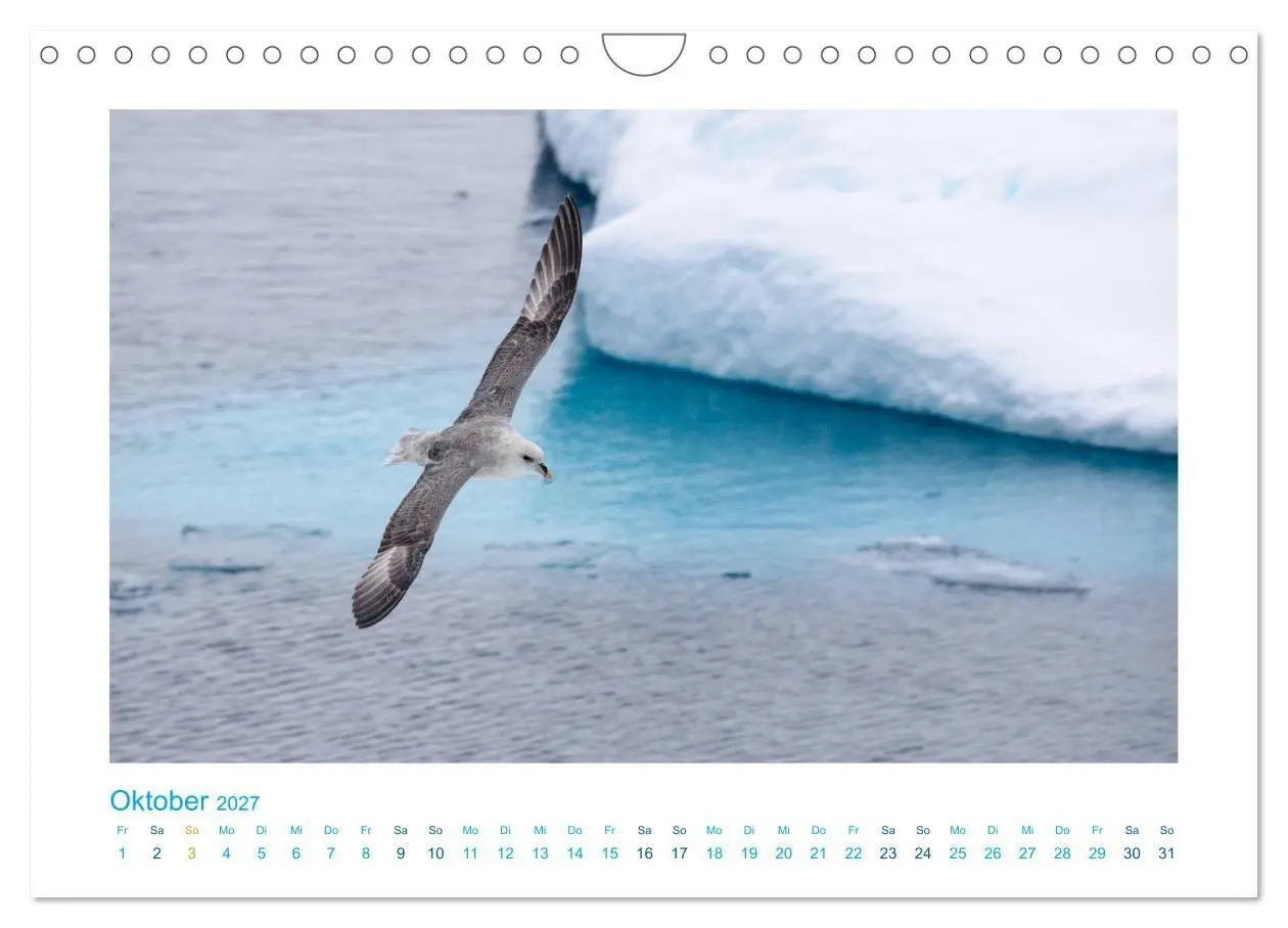 Bild: 9783569768833 | Spitzbergen - Landschaft - Eis - Tierwelt (Wandkalender 2027 DIN A4...