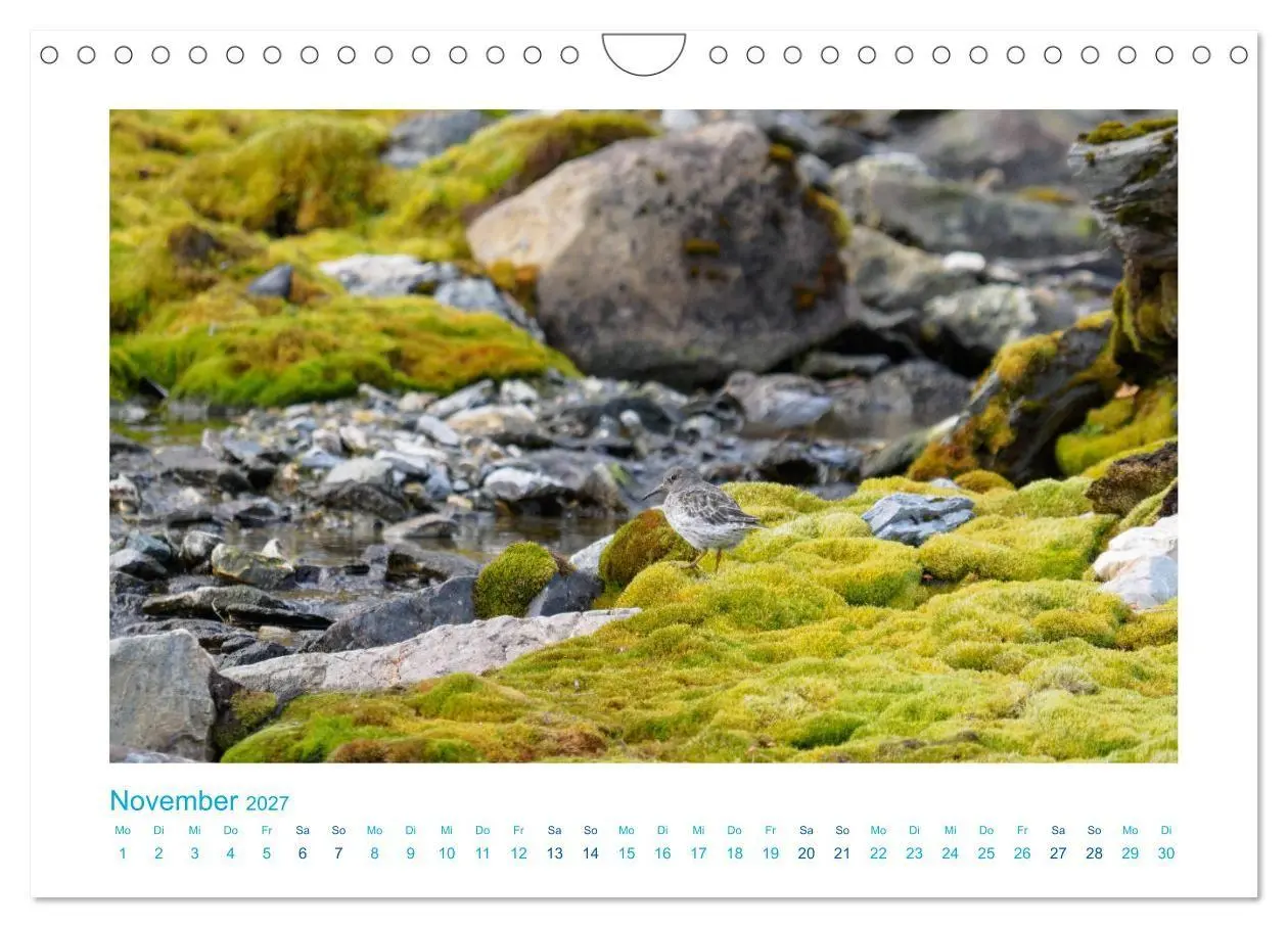 Bild: 9783569768833 | Spitzbergen - Landschaft - Eis - Tierwelt (Wandkalender 2027 DIN A4...