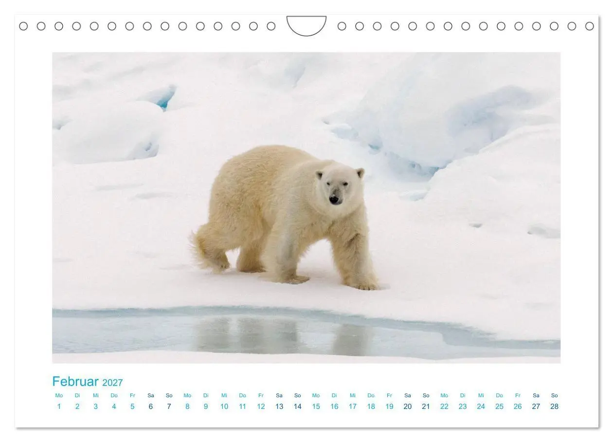 Bild: 9783569768833 | Spitzbergen - Landschaft - Eis - Tierwelt (Wandkalender 2027 DIN A4...