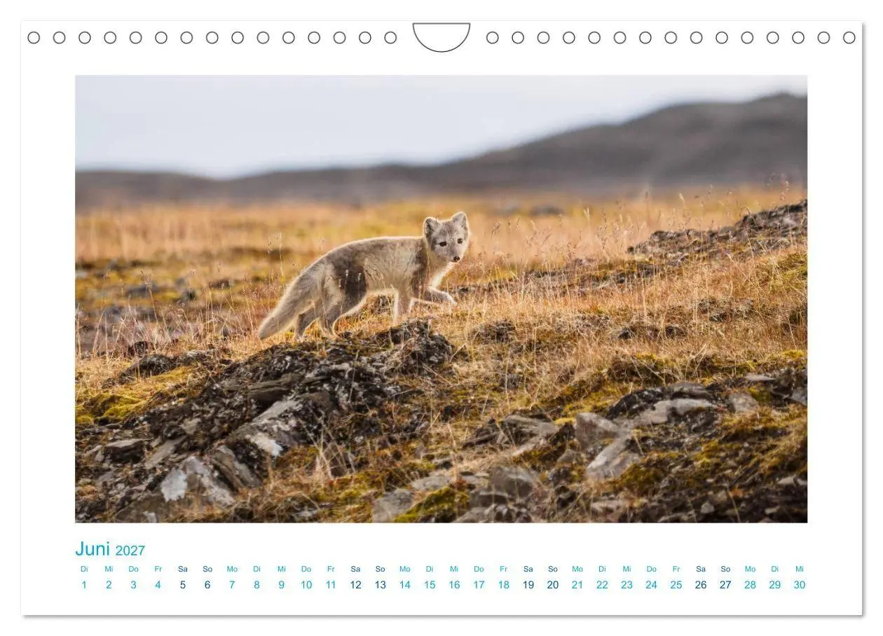 Bild: 9783569768833 | Spitzbergen - Landschaft - Eis - Tierwelt (Wandkalender 2027 DIN A4...