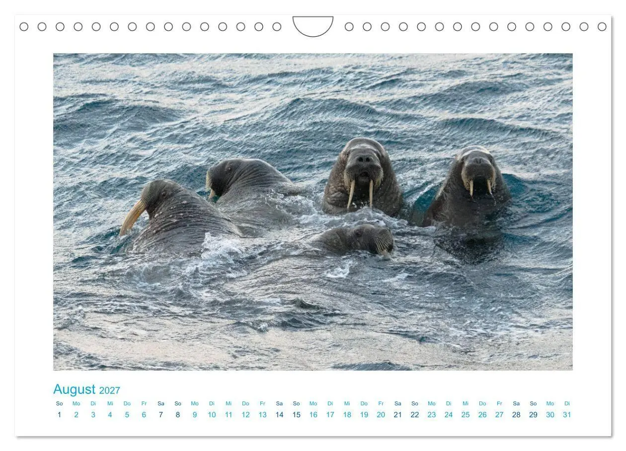 Bild: 9783569768833 | Spitzbergen - Landschaft - Eis - Tierwelt (Wandkalender 2027 DIN A4...