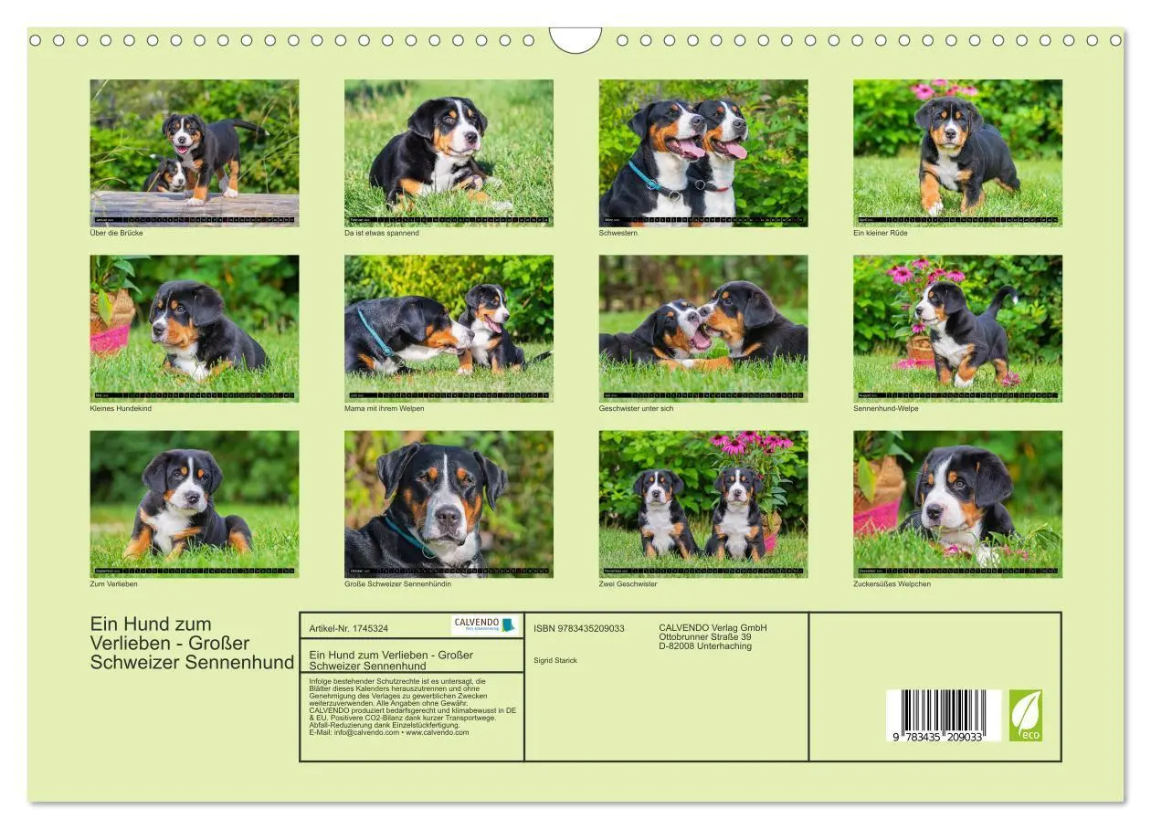 Bild: 9783435209033 | Ein Hund zum Verlieben - Großer Schweizer Sennenhund (Wandkalender...