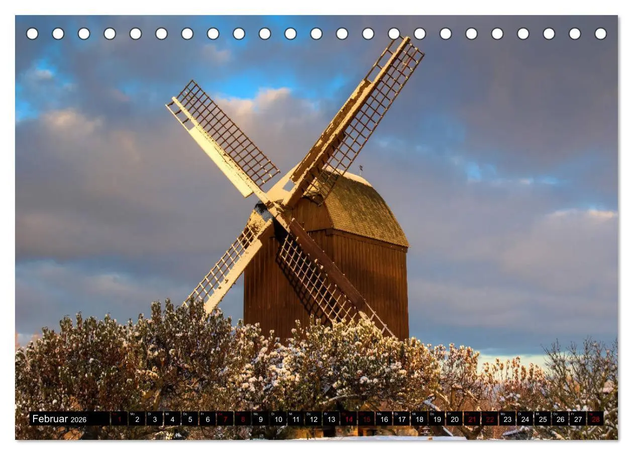 Bild: 9783457849033 | Hansestadt Greifswald (Tischkalender 2026 DIN A5 quer), CALVENDO...