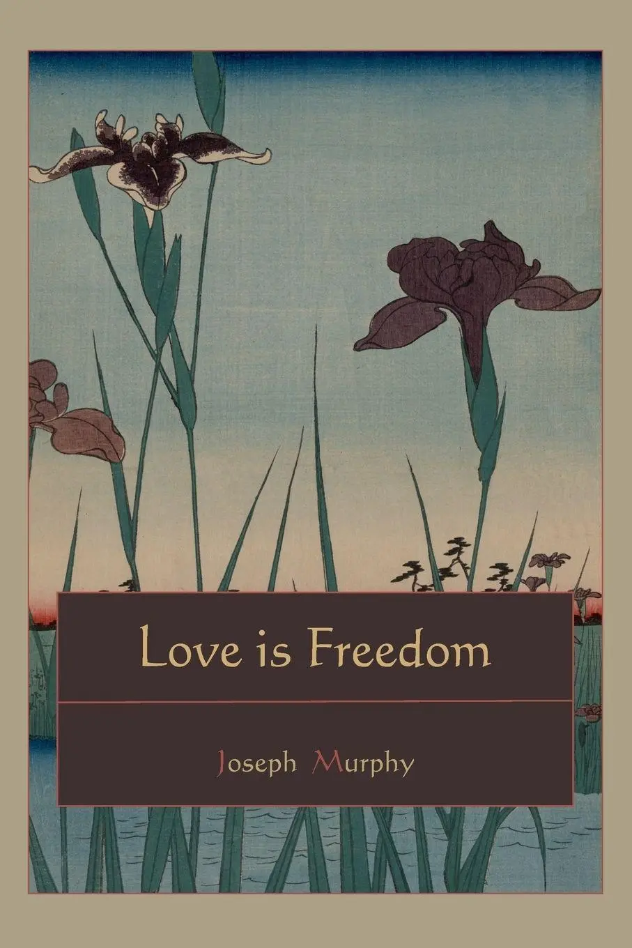 Cover: 9781578989133 | Love is Freedom | Joseph Murphy | Taschenbuch | Englisch | 2010