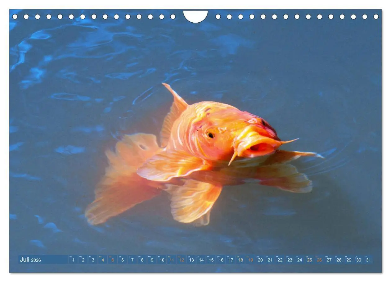 Bild: 9783457699133 | Koi: Juwelen im Teich (Wandkalender 2026 DIN A4 quer), CALVENDO...