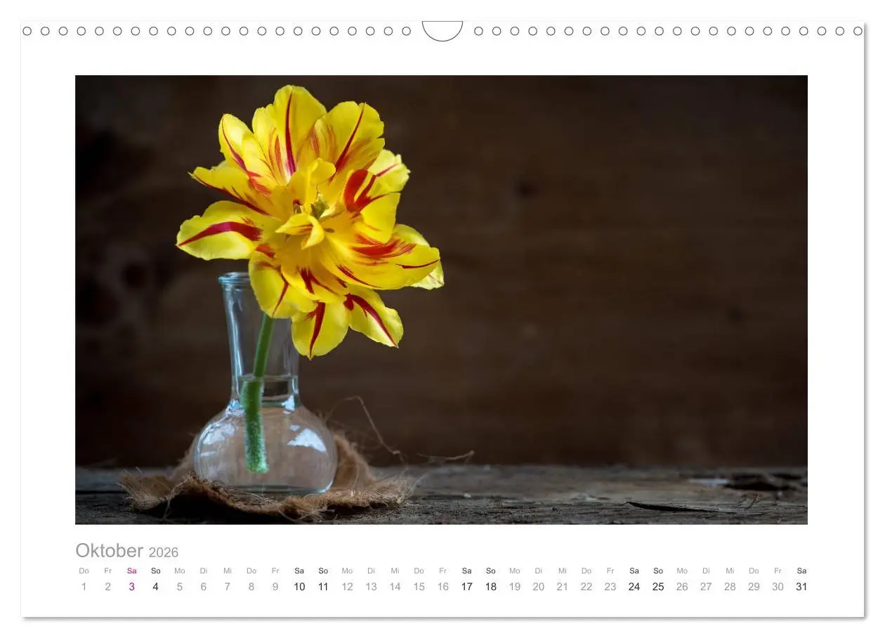 Bild: 9783457909133 | Blumen zart und schön (Wandkalender 2026 DIN A3 quer), CALVENDO...