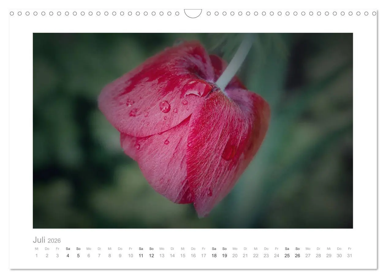 Bild: 9783457909133 | Blumen zart und schön (Wandkalender 2026 DIN A3 quer), CALVENDO...
