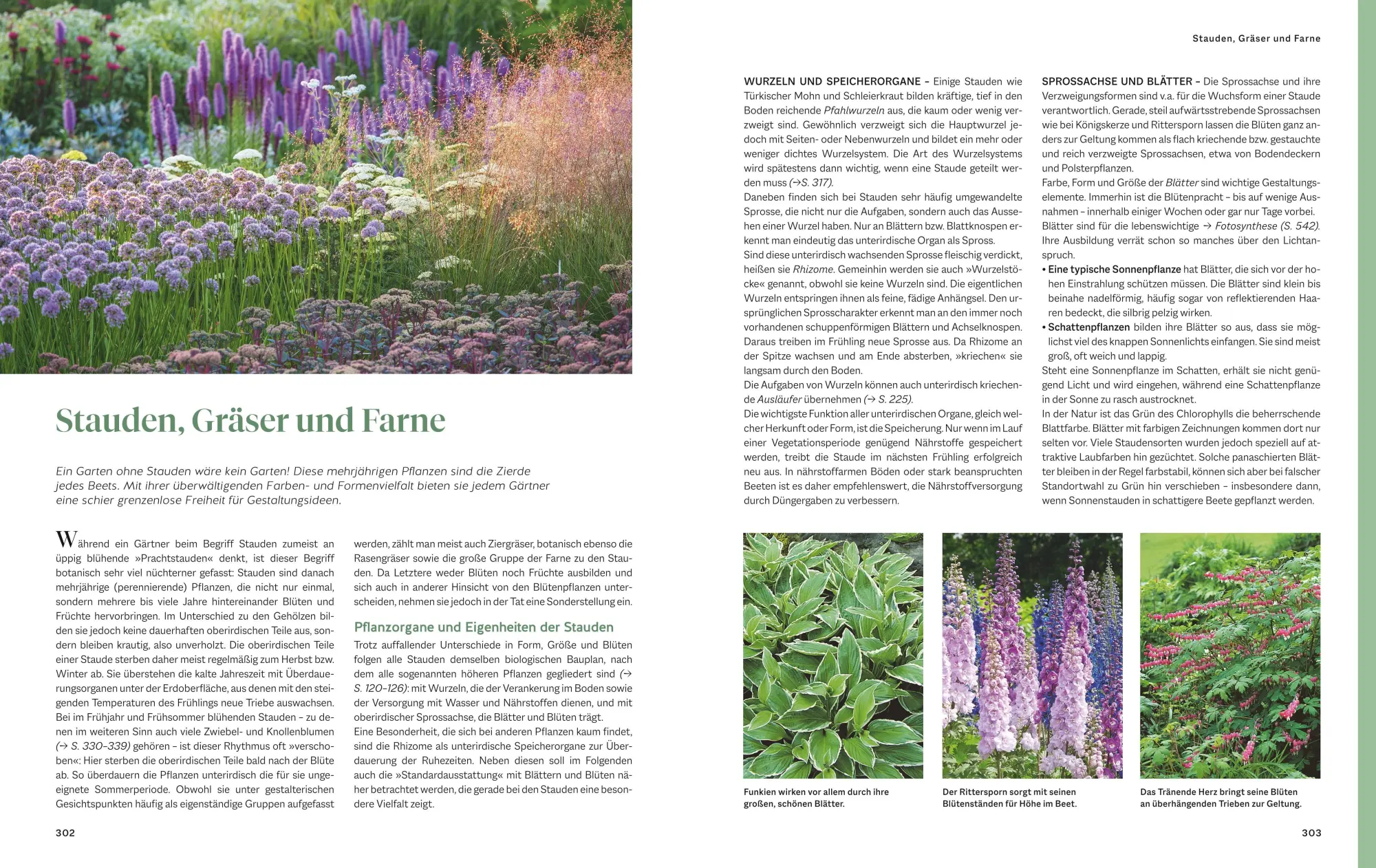 Bild: 9783833899133 | Das große Praxishandbuch Garten | Joachim Mayer (u. a.) | Buch | 2025