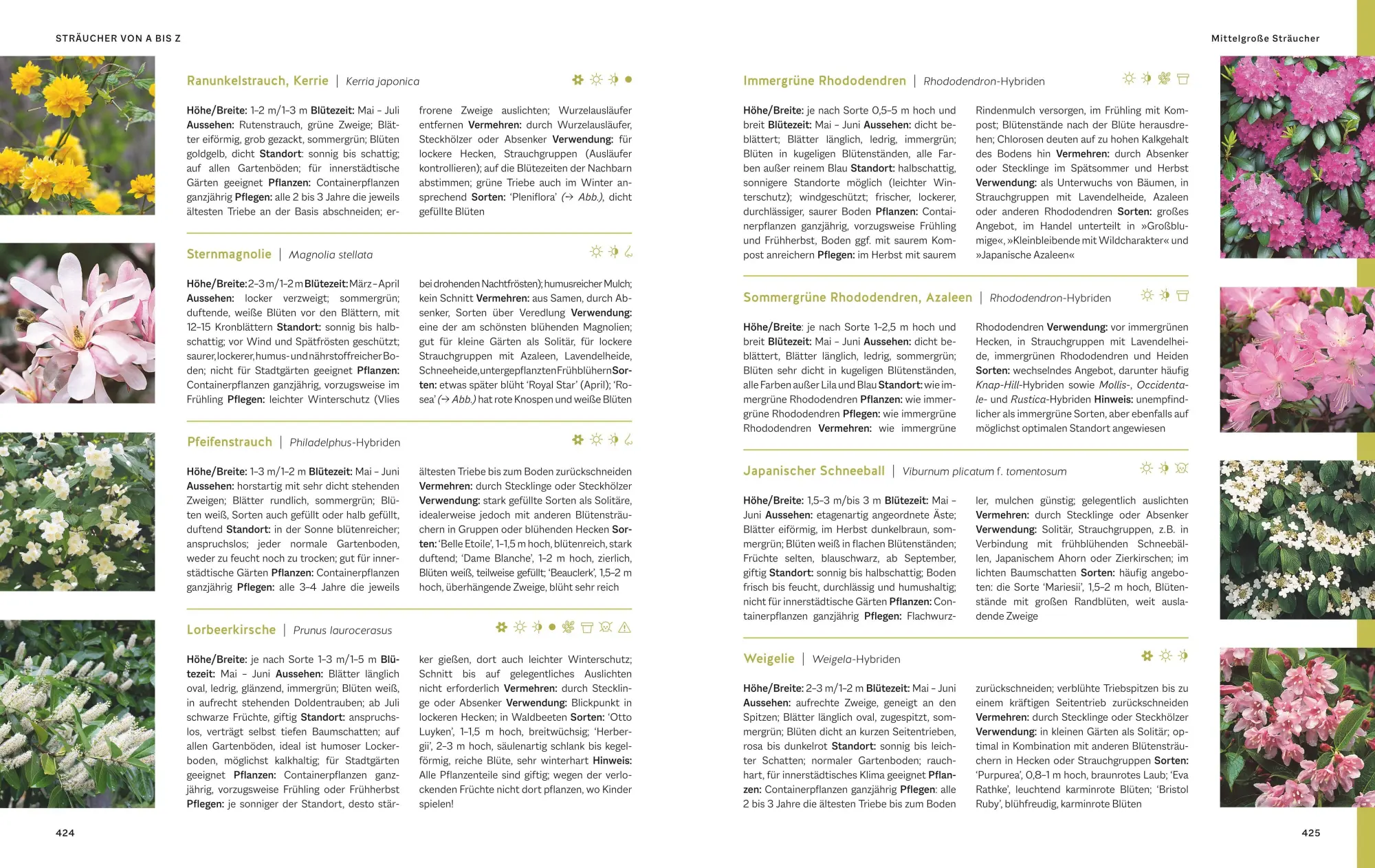 Bild: 9783833899133 | Das große Praxishandbuch Garten | Joachim Mayer (u. a.) | Buch | 2025