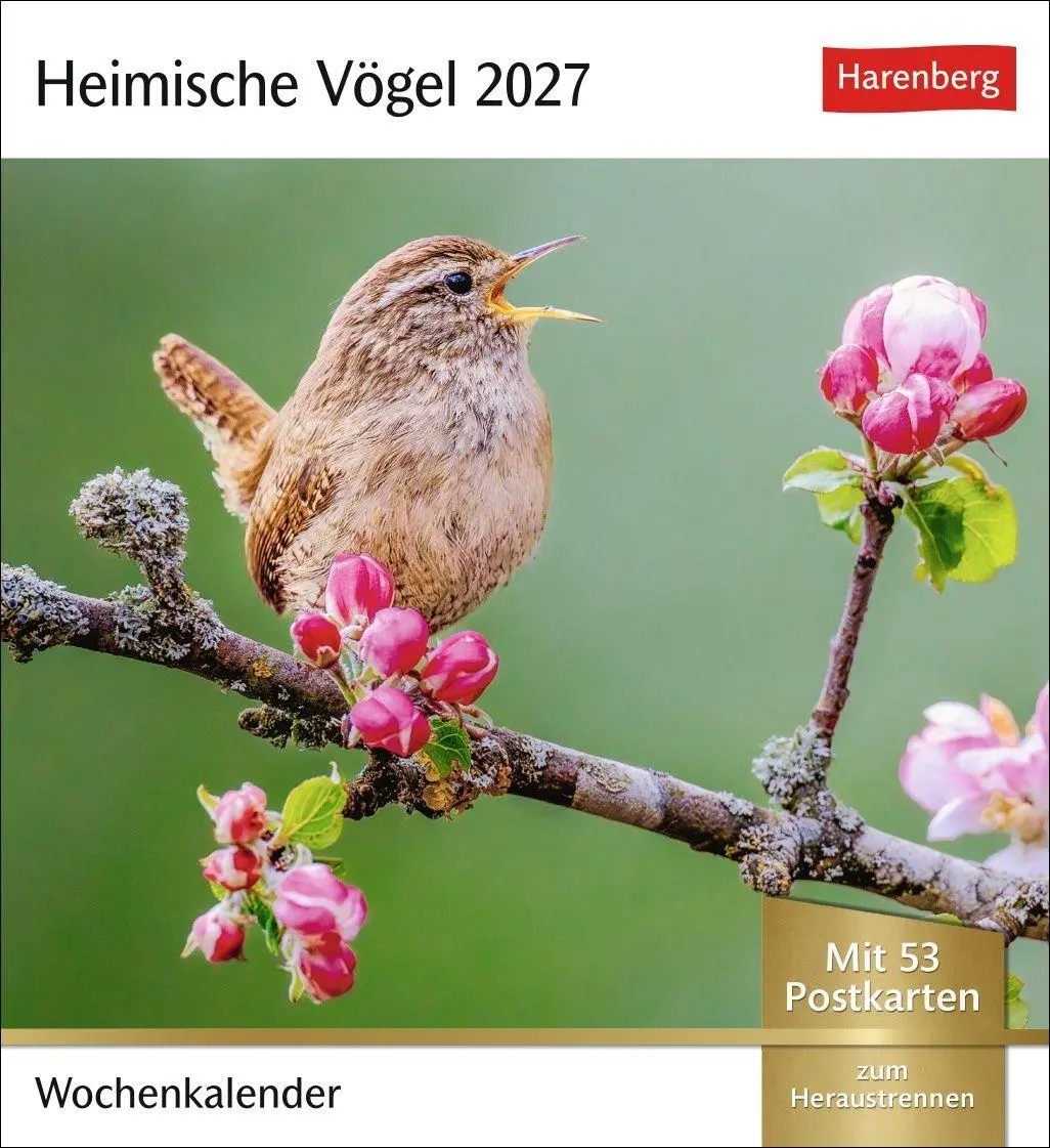 Cover: 9783840039133 | Heimische Vögel Postkartenkalender 2027 - Wochenkalender mit 53...