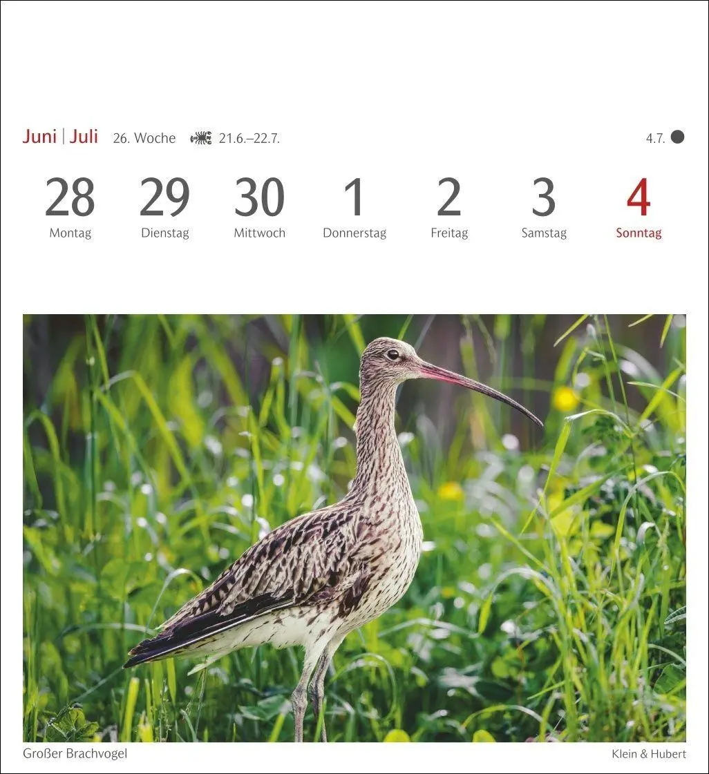 Bild: 9783840039133 | Heimische Vögel Postkartenkalender 2027 - Wochenkalender mit 53...