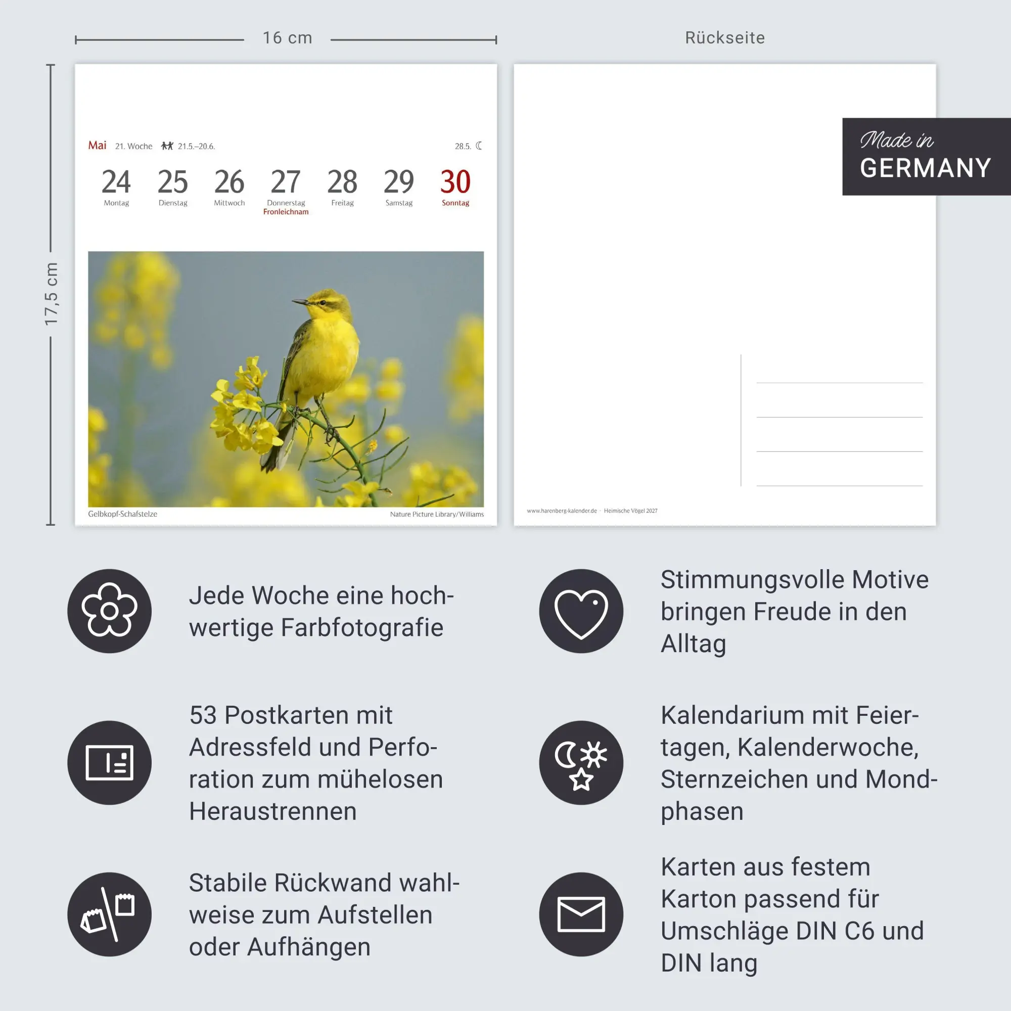 Bild: 9783840039133 | Heimische Vögel Postkartenkalender 2027 - Wochenkalender mit 53...